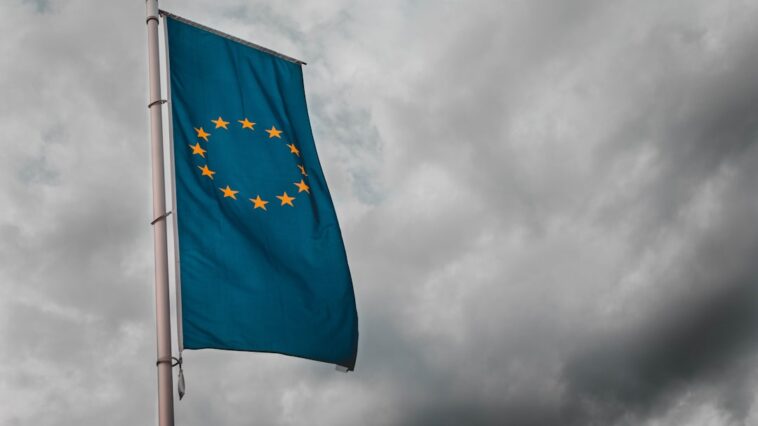 Photo EU flag