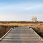 Photo Mentor and mentee